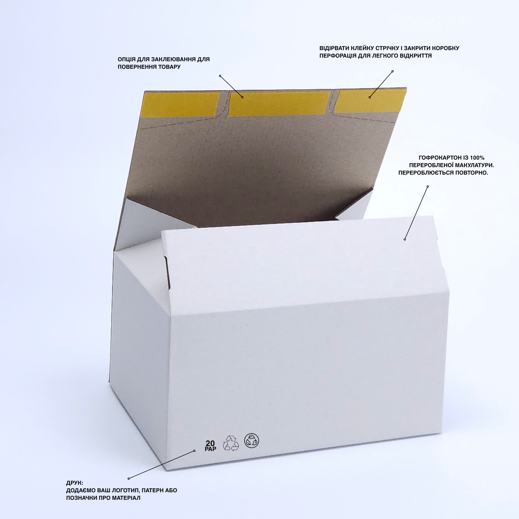Untitled design-3.png